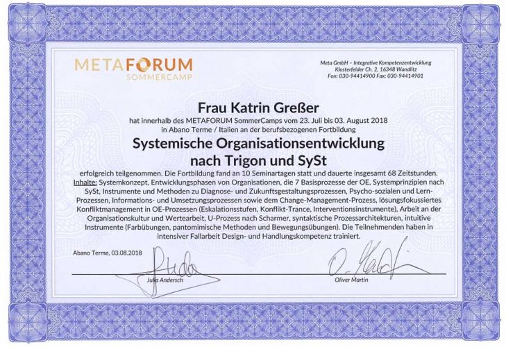Zertifikat syst. Organisationsentwicklung nach Trigon